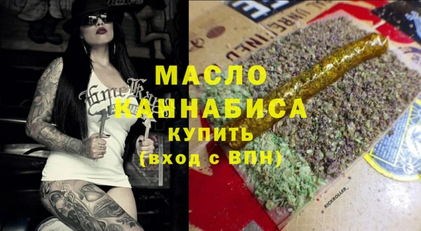 мдпв Инта